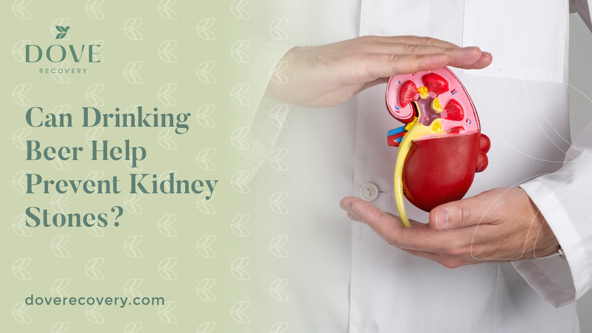 Can Drinking Beer Help Prevent Kidney Stones?